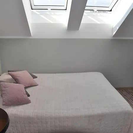 Goscinne Mizera 쿠도바-즈루이